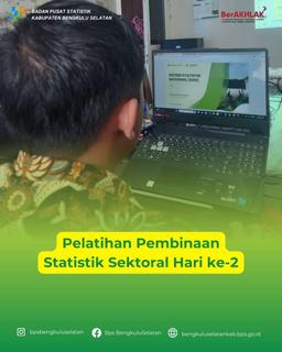 Pelatihan Pembinaan Statistik Sektoral Hari ke-2