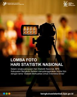 Lomba Fotografi Hari Statistik Nasional (HSN) 2024